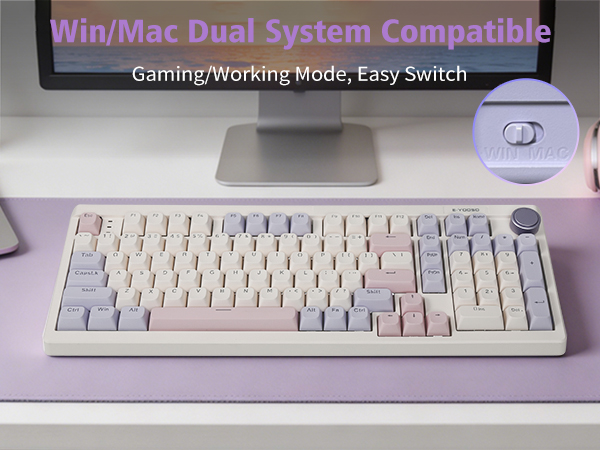 win/mac 
