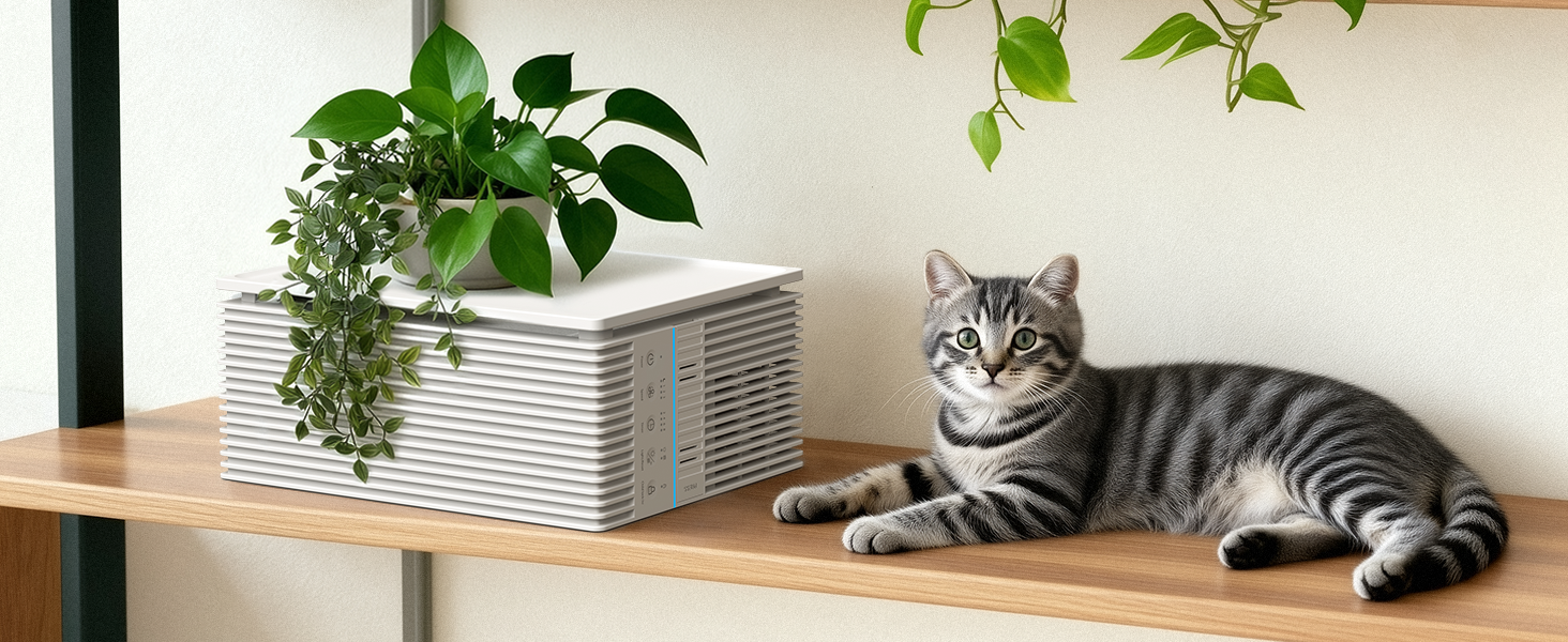 air purifier