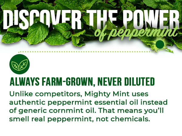 Discover the power of peppermint