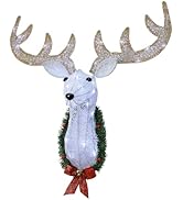 WATERGLIDE Lighted Christmas Wall Decor Reindeer Head, 28" Pre-Lit 3D Rudolph Hanging Wreath with...