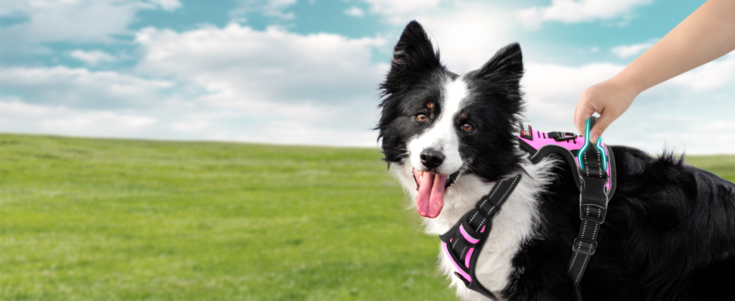 harness ruffwear harness dog harness medium harness for small dogs harness dog