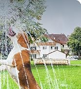 Backyard water parties on sprinklers with plenty of room for children or pets to play!