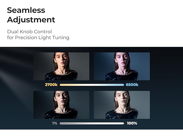 Text reads 'Seamless Adjustment' and 'Dual Focus Control'. Interface showing image adjustment slider with before/after comparison panels.