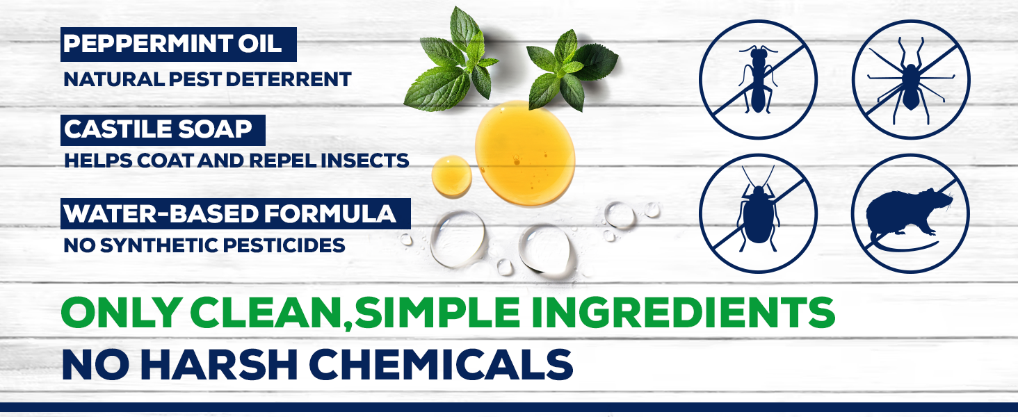 peppermint Insect Spray