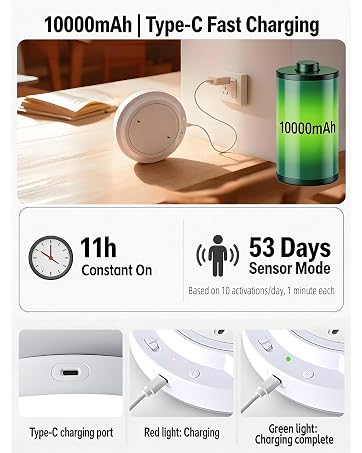 ceiling lights battery operated