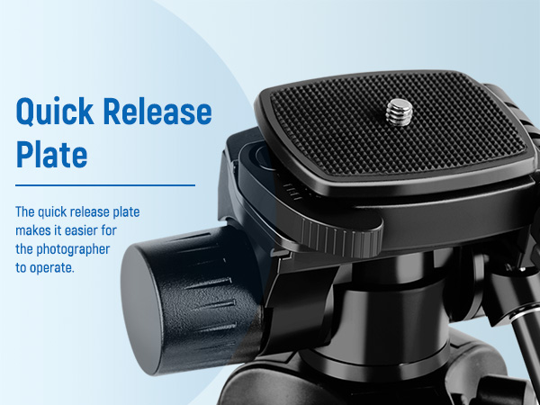 tripod with plate