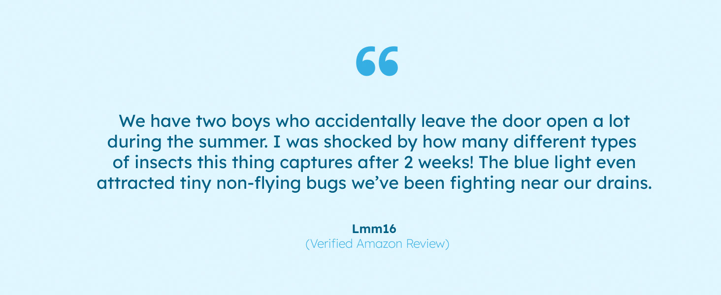 atrapar moscas zeno tallo mantener alejados a pegadizo veyofly repelente frutas dynatrap infestación