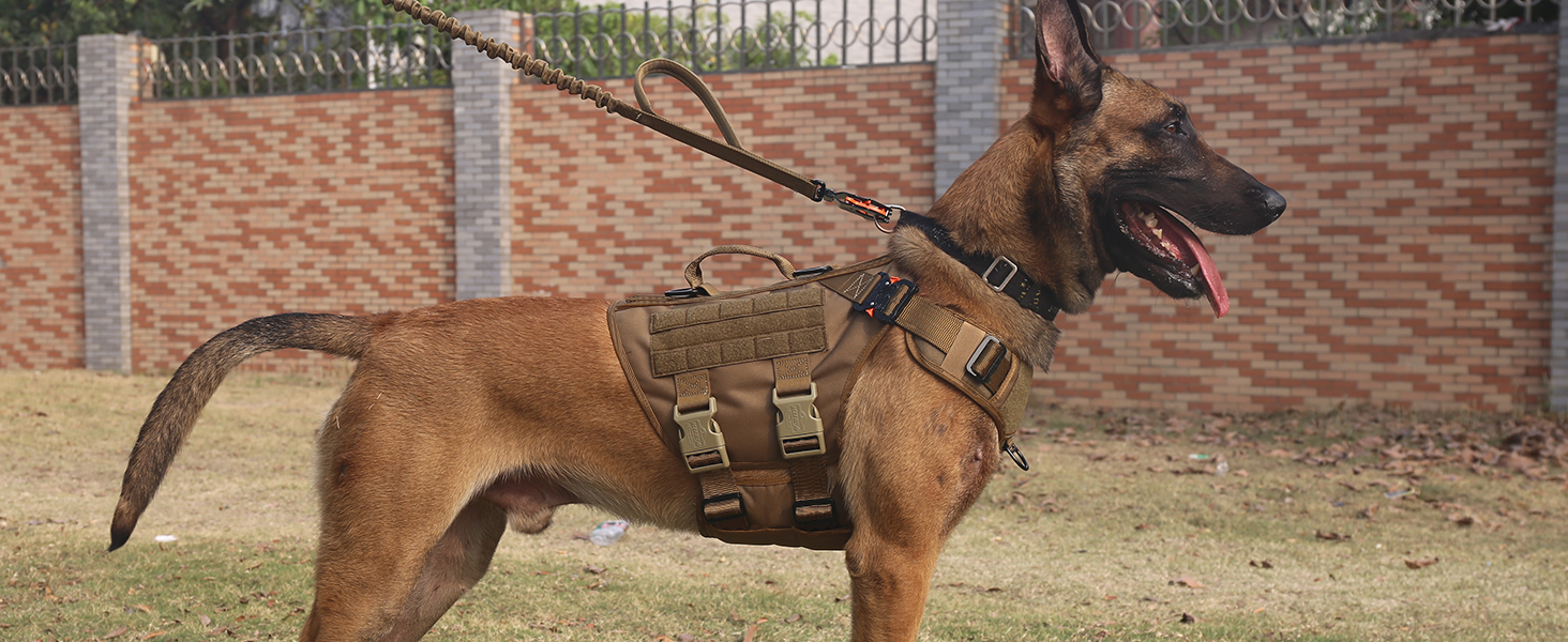 dog vest coyote