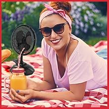 Portable Desk and Clip on Fan