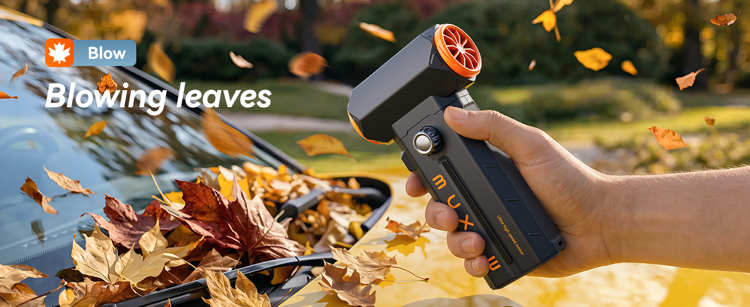 Blowing leaves