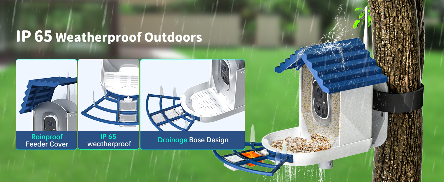 bird feeder with camera weatherproof