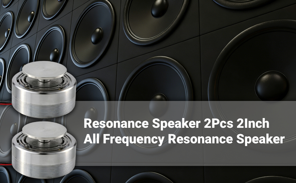 Resonance Speaker 2Pcs 2Inch All Frequency Resonance Speaker