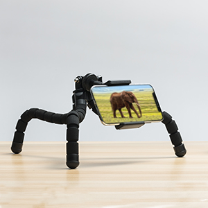 Flexible tripod 