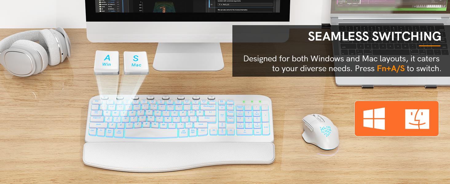 plug and play 2 in 1 Win&Mac system layout