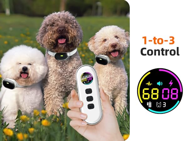shock collar for dogs shock collar for small dogs 5-15lbs dog shock collar with remote control