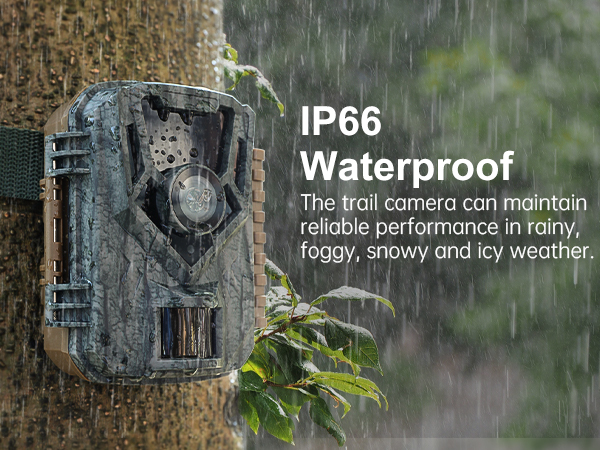 trail camera
