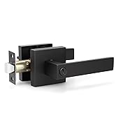 Black door handle interior privacy