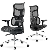 SIHOO Doro S100 Ergonomic Office Chair - Dual Dynamic Lumbar Support, 4D Coordinated Armrests, 5-...