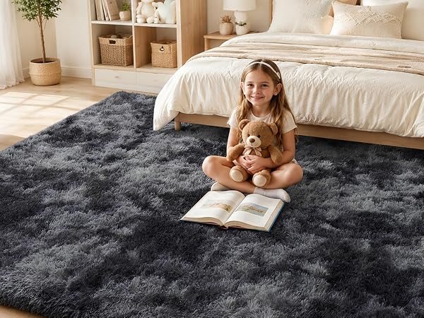 Area Rug for Living Room Bedroom