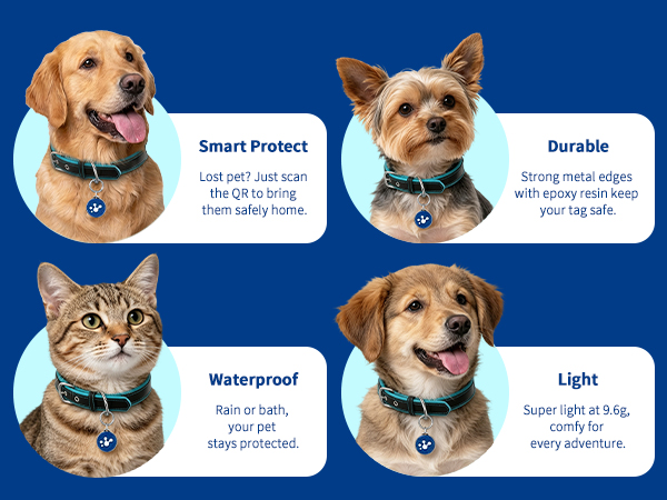 dog id tag 2-1