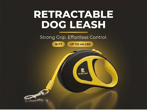 Dog Leash