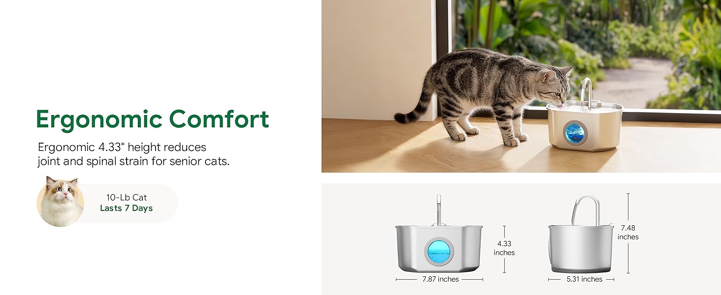 An ergonomic 4.33" height reduces joint strain for cats. Features a 3.2L capacity.