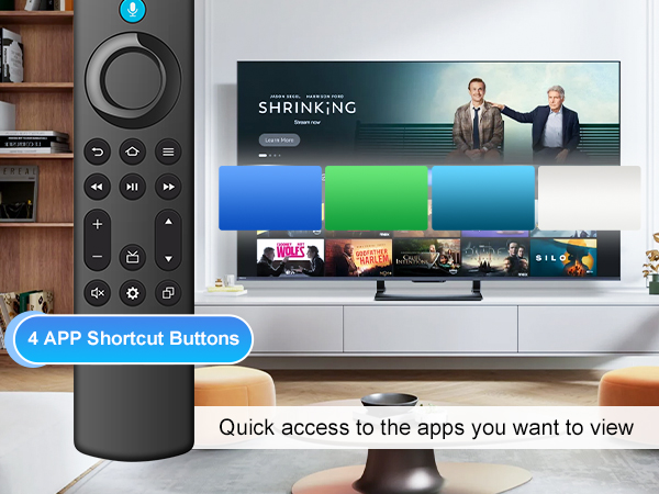 remote replacement control