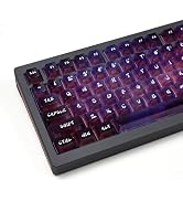 119keys Keyboard Keycaps Shine Through Clear Purple Keycap Set, Cherry Transparent Key Caps for C...