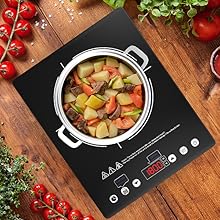 portable induction cooktop single burner