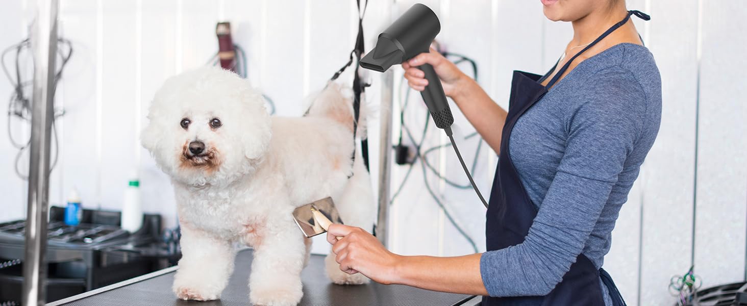 hair dryer blow dryer hair blower plasma hair dryer hair dryers for women diffuser hair dryer