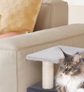 3-in-1 Pet Stairs for Cats, Dog Steps for Small Doggie, 6.29''Depth Cat Stairs, Indoor Cat Ladder...