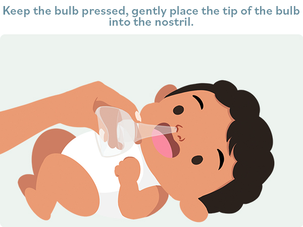 Bulb Step 2