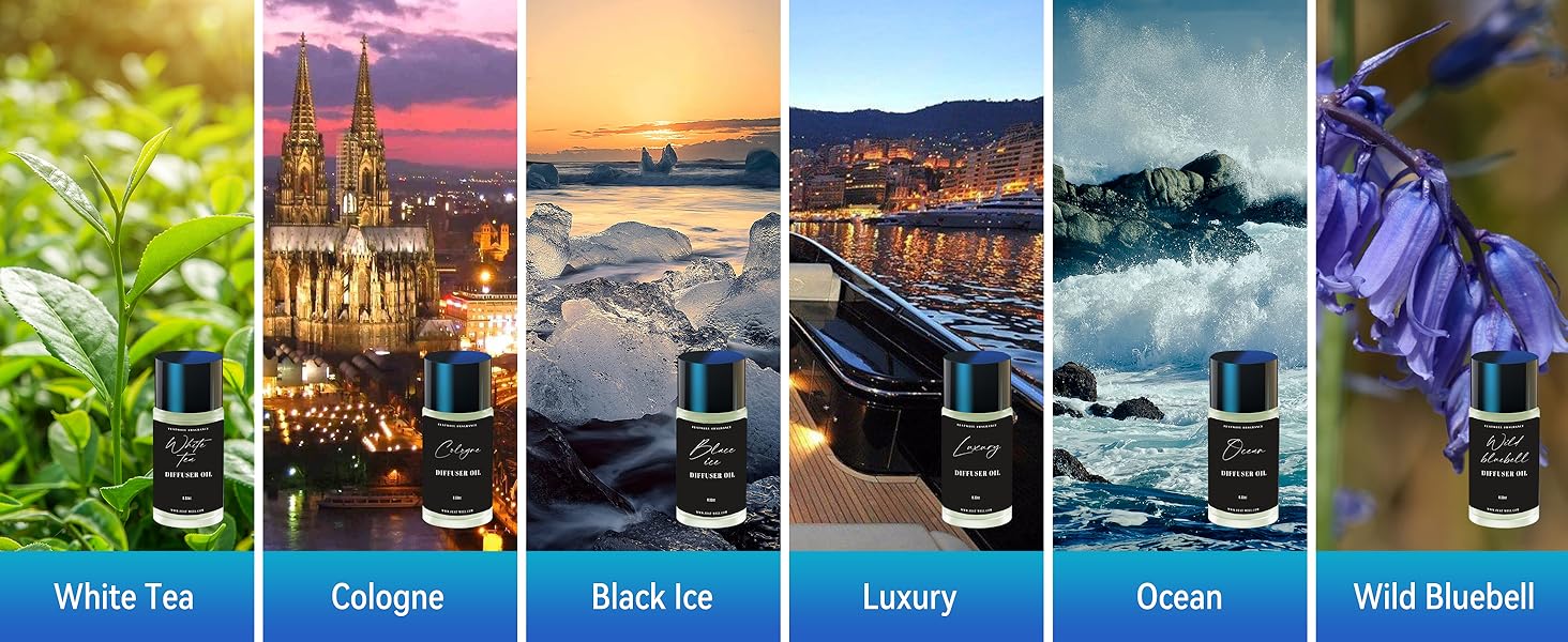 car fresheners long lasting