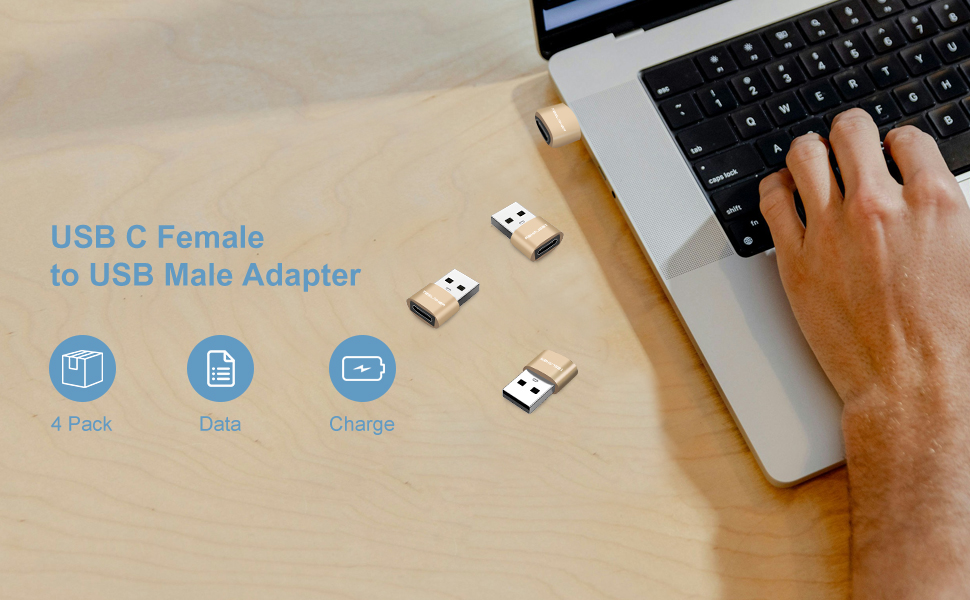 USB C Female to USB Male