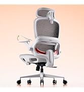 SIHOO B100 Office Chair, Comfy Ergonomic Office Chair, High Back Computer Chair with Adaptive Lum...