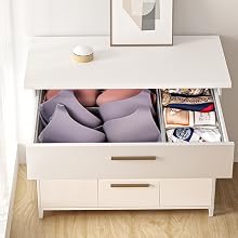 underwear organizer