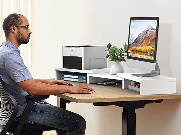 Dual Monitor Stand for Desk