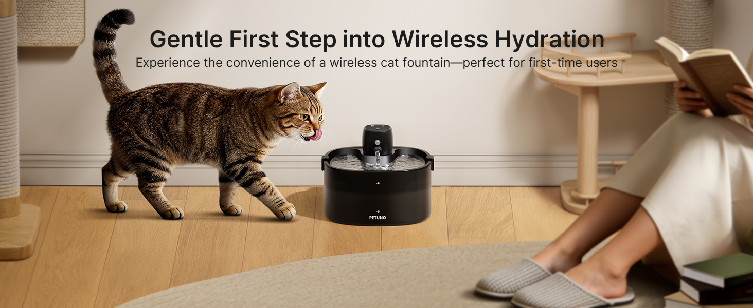 cat drinking water fountain