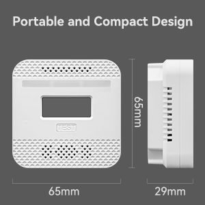 small carbon monoxide detector