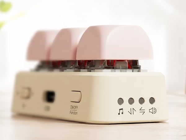 Functional Mode