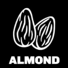 almond milk maker