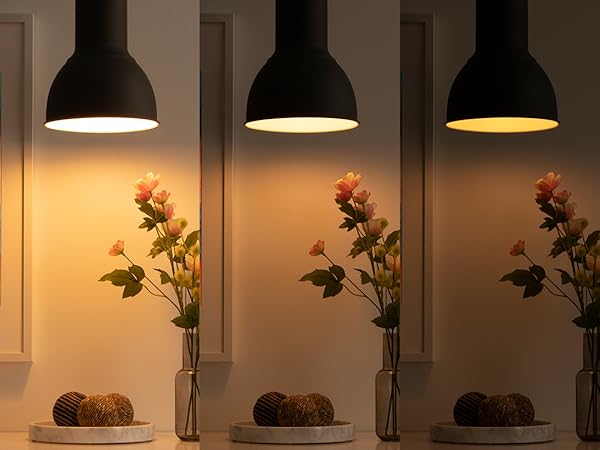 Household Supplies LED Bulbs Industrial &amp; Scientific