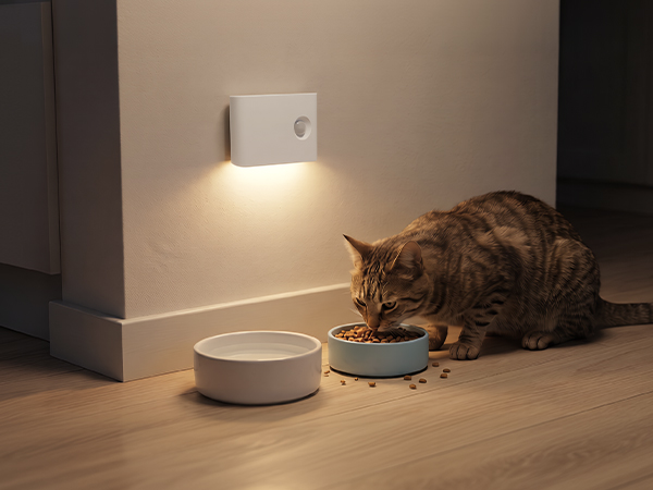 Pet feeding lighting