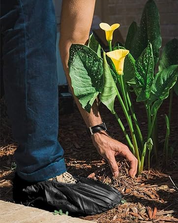 shoe covers disposable