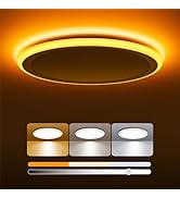 BLNAN 13 Inch Dimmable LED Flush Mount Ceiling Light with Night Light 2000K, 24W 3000K 4000K 5000...