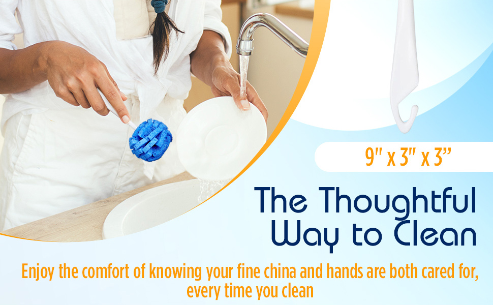 Dish Wand China care