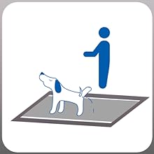 Pads for Training Dogs training cats
