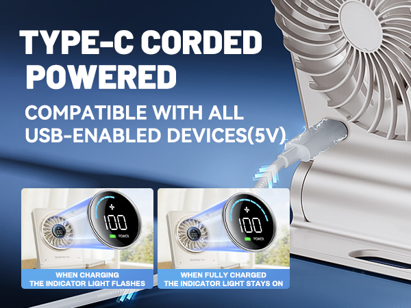 Type-C Charging Port