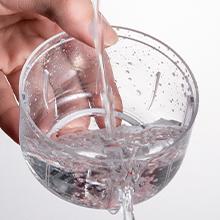 electric mini onion chopper