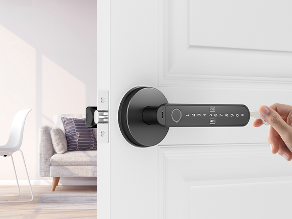 fingerprint door lever